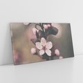 Obraz na płótnie 100x50 - Przemijający Urok - kwitnąca, wiśnia