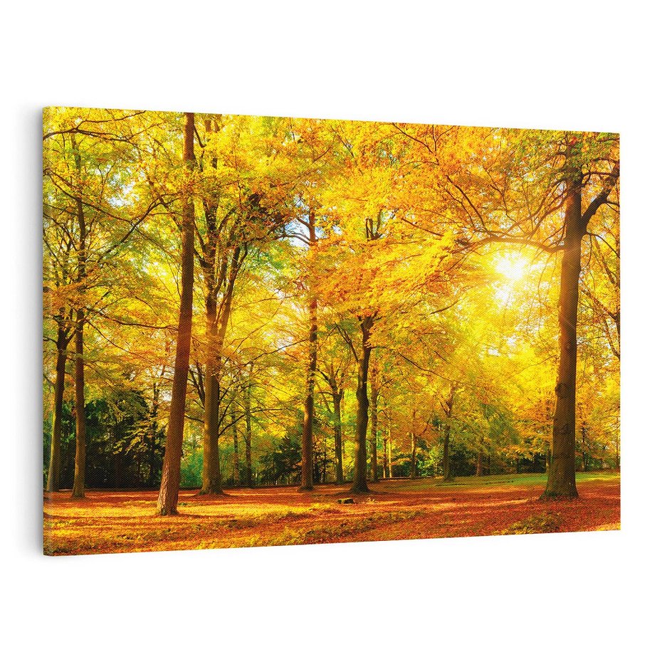 Obraz na płótnie 120x80 - Urok jesiennego lasu - las, drzewa