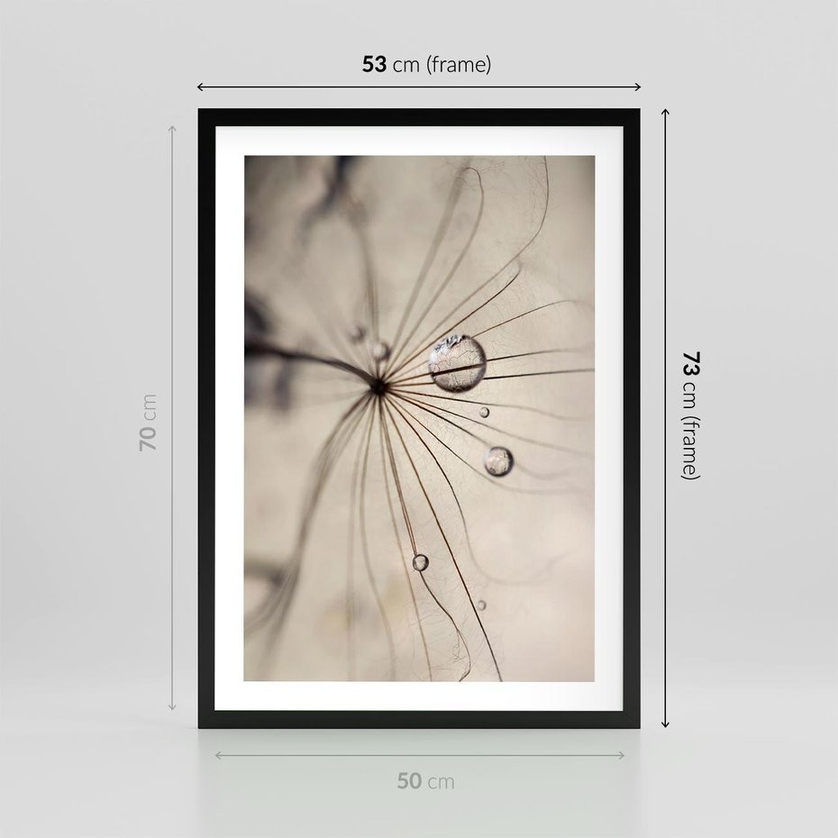 Plakat w ramie 50x70 - Makro Uroda: Kropla na Dmuchawcu - zbliżenie makro, kropla wody na ziarenku dmuchawca - rama czarna