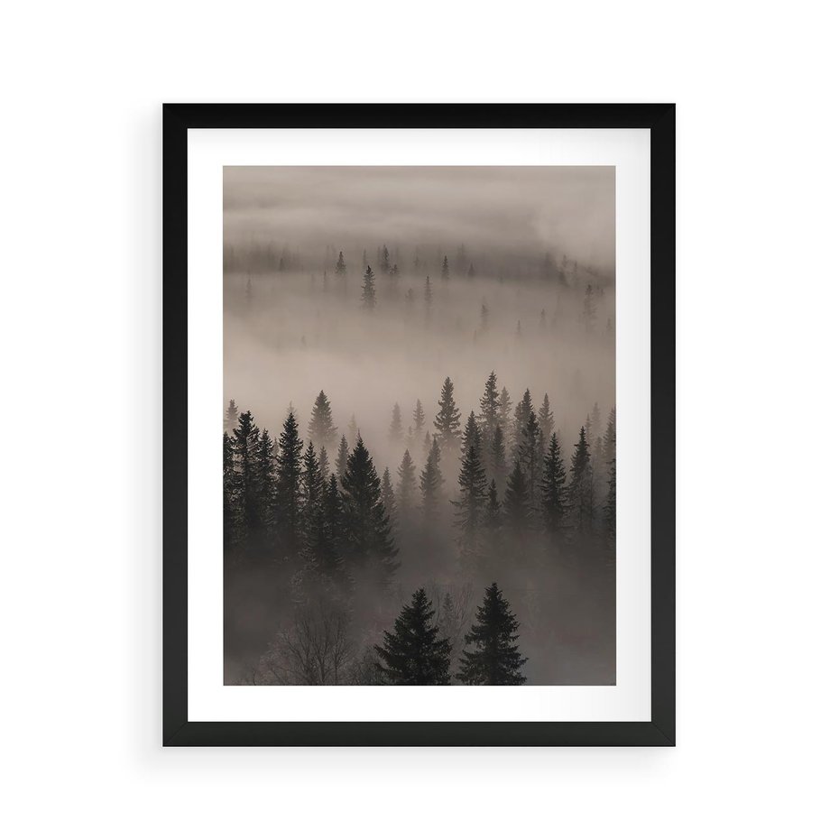 Plakat w ramie 40x50 - Mglista Opowieść Lasu - las, mgła - rama czarna