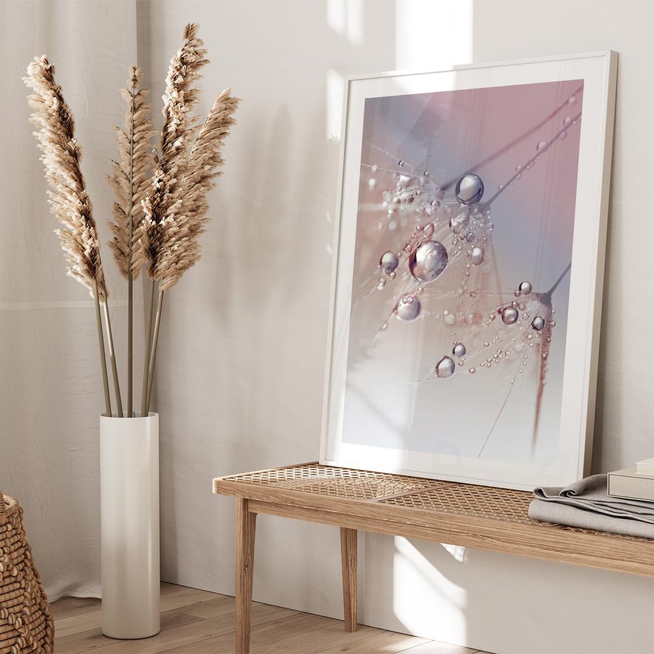 Plakat bez ramy 30x40 - Delikatne Natchnienie - krople, dmuchawce