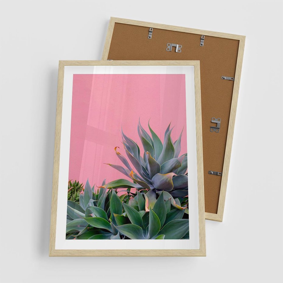 Plakat w ramie 50x70 - Tropikalne Liście na Różowej Ścianie - różowa ściana, tropikalne liście na jej tle - rama drewno