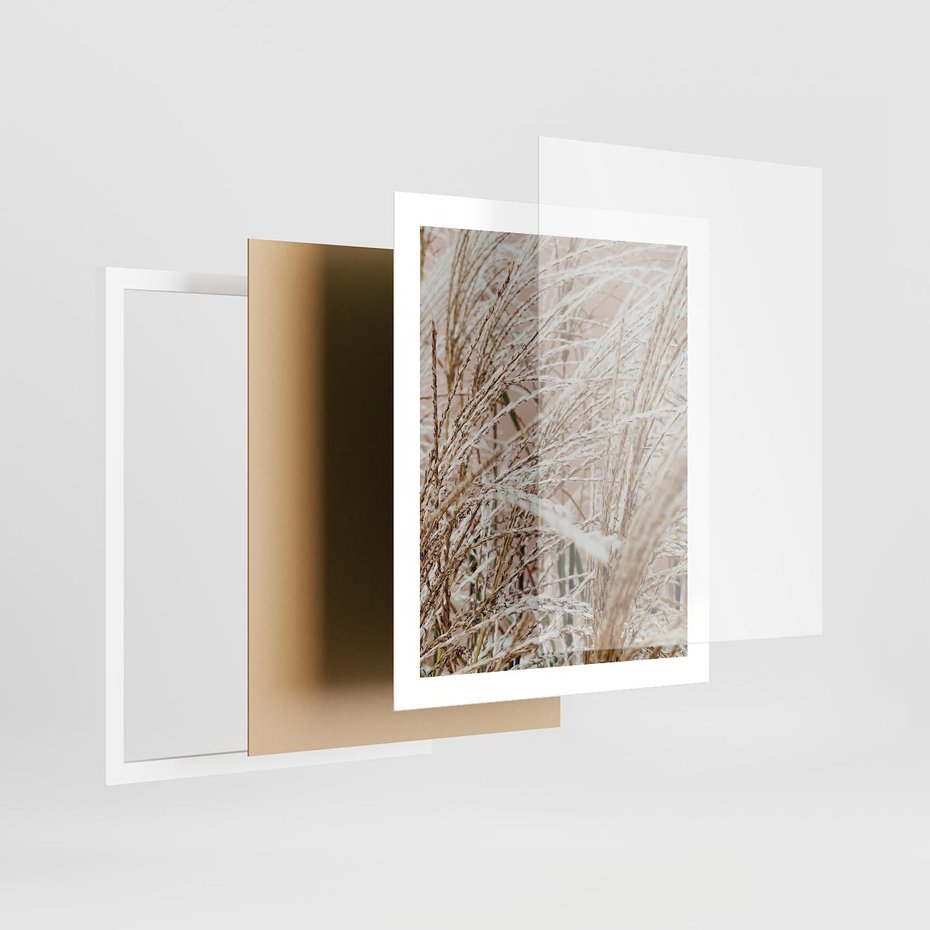Plakat w ramie 40x50 - Beżowa Trawa - suche trawy, zbliżenie - rama biała