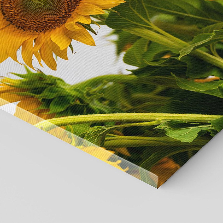 Obraz na płótnie 120x60 - Słoneczna Radość - fotografia, żółte słoneczniki