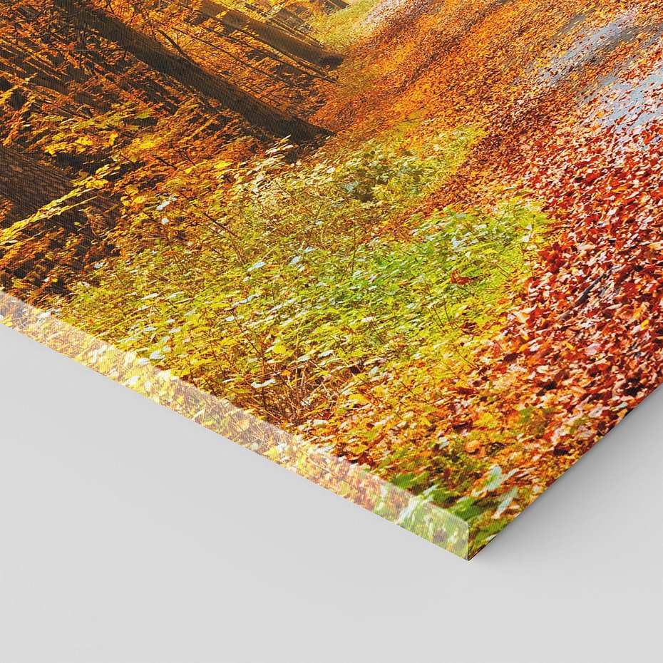 Obraz na płótnie 80x120 - Jesień w lesie - las, drzewa