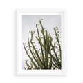 Plakat w ramie 50x70 - Ekskluzywna Roślinność - kaktusy, liście - rama biała