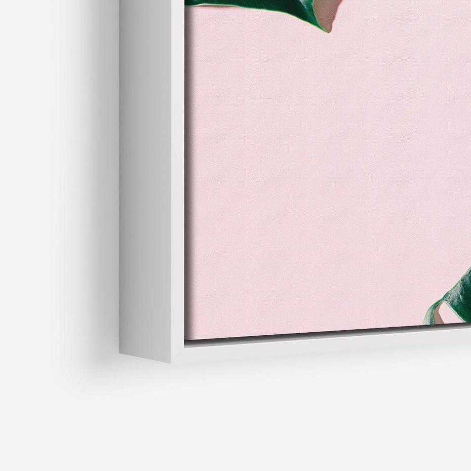 Obraz w ramie 80x80 - Siła Natury - liście, monstera - rama biała