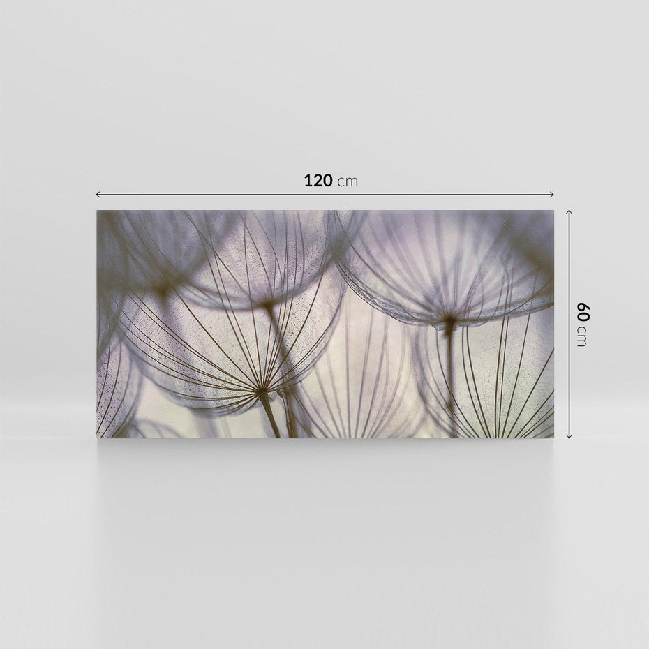 Obraz na płótnie 120x60 - Makro dmuchawiec - piękno drobnych detali - dmuchawce, makro