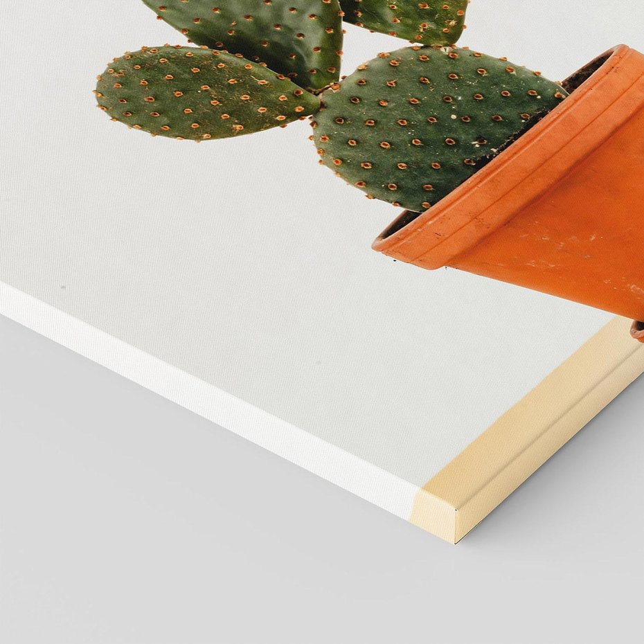 Obraz na płótnie 30x30 - Kwiatowy taniec kaktusa - kaktus, kwiat