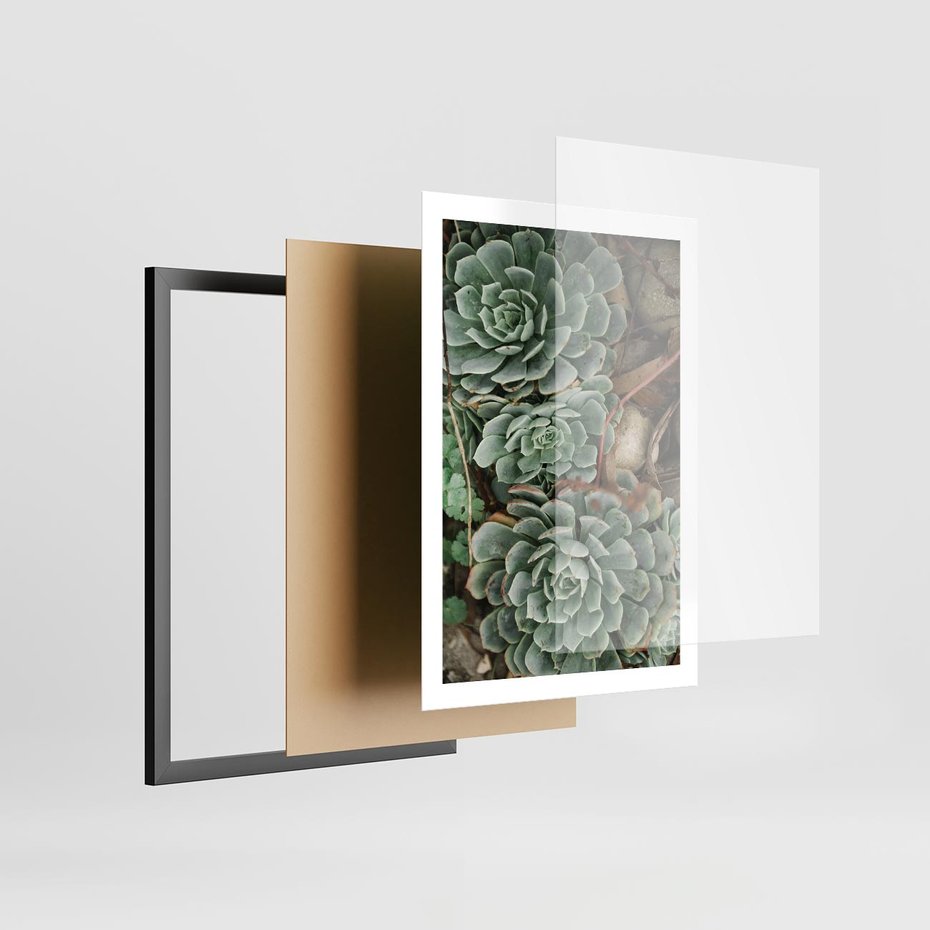 Plakat w ramie 50x70 - Zielona Uroda Sukulentów - sukulenty, zielone liście - rama czarna