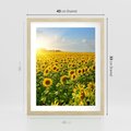 Plakat w ramie 40x50 - Idylla na łące słoneczników - łąka, słoneczniki - rama drewno