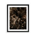 Plakat w ramie 40x50 - Jesienny Urok - suche trawy, jesienny pejzaż - rama czarna