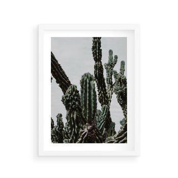 Plakat w ramie 40x50 - Boho oaza wśród kaktusów - kaktusy, pustynia - rama biała