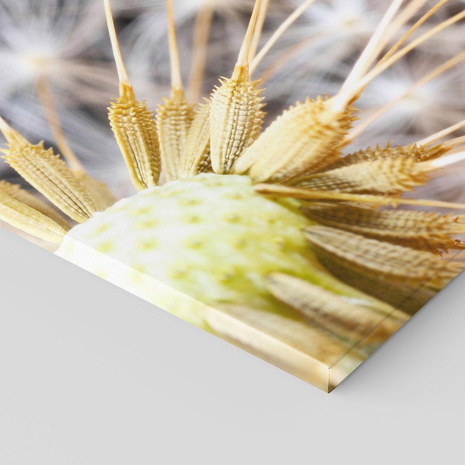 Obraz na płótnie 70x50 - Dmuchawiec: lekkość natury - dmuchawiec, natura