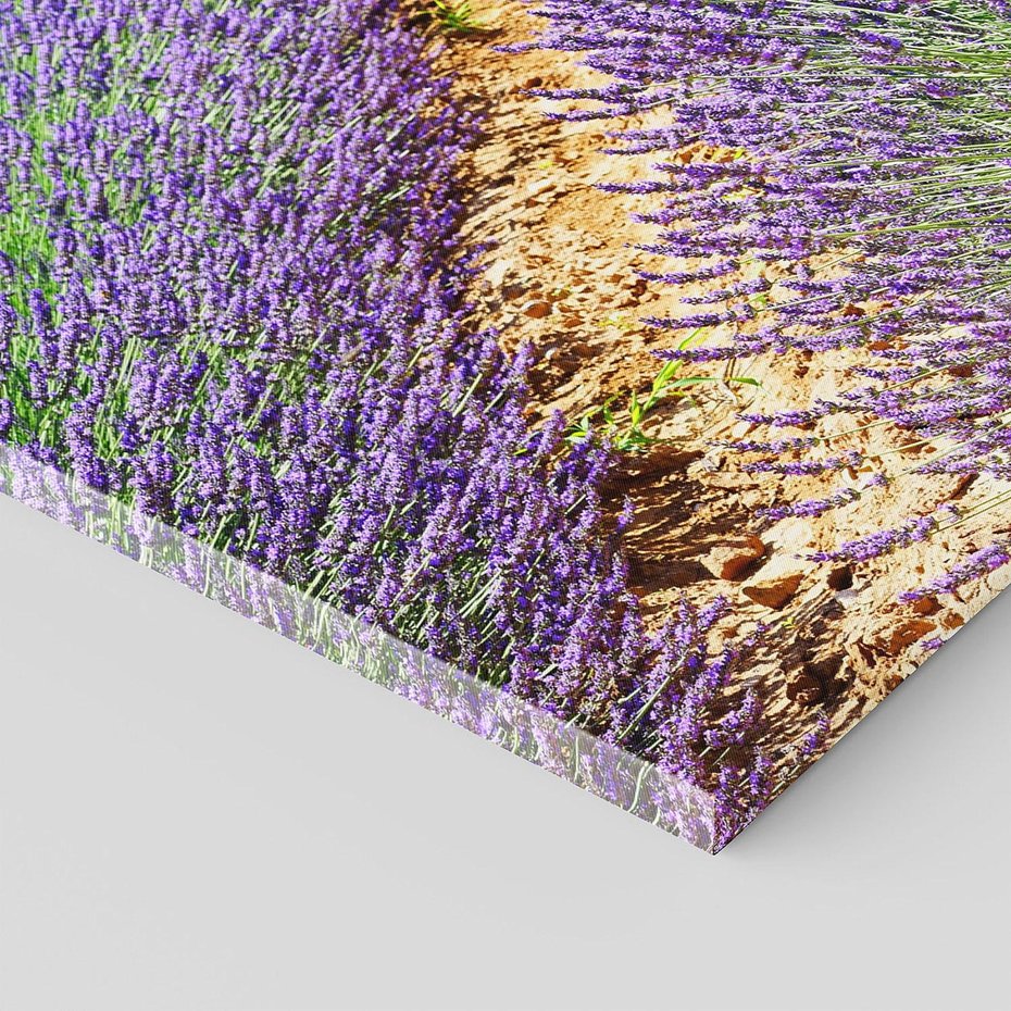 Obraz na płótnie 140x70 - Lawendowy kwiat - lawenda, kwiat