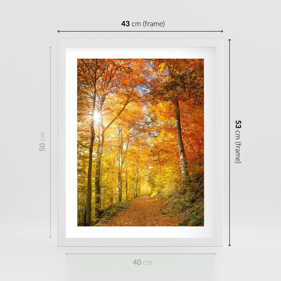 Plakat w ramie 40x50 - Złote barwy jesiennego lasu - las, jesień - rama biała