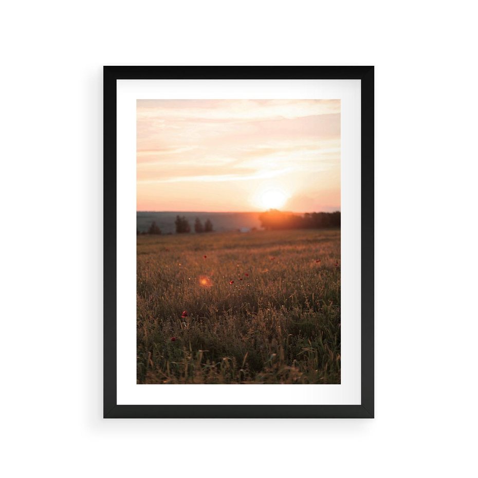 Plakat w ramie 30x40 - Łąka we Wschodzącym Słońcu: Magia Poranka - łąka, krajobraz - rama czarna
