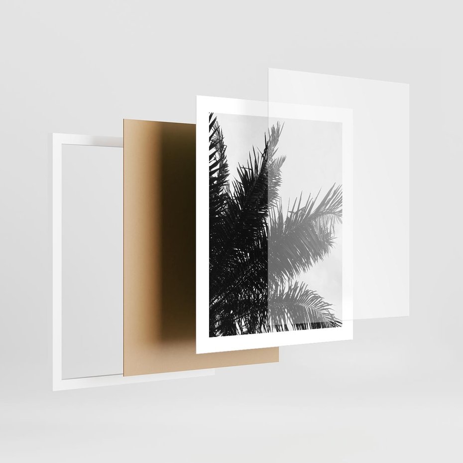 Plakat w ramie 40x50 - Czas Zapomnienia - palmy, czarno biała fotografia - rama biała