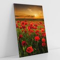 Obraz na płótnie 70x100 - Maki na łące: Przebudzenie wiosny - mak, maki