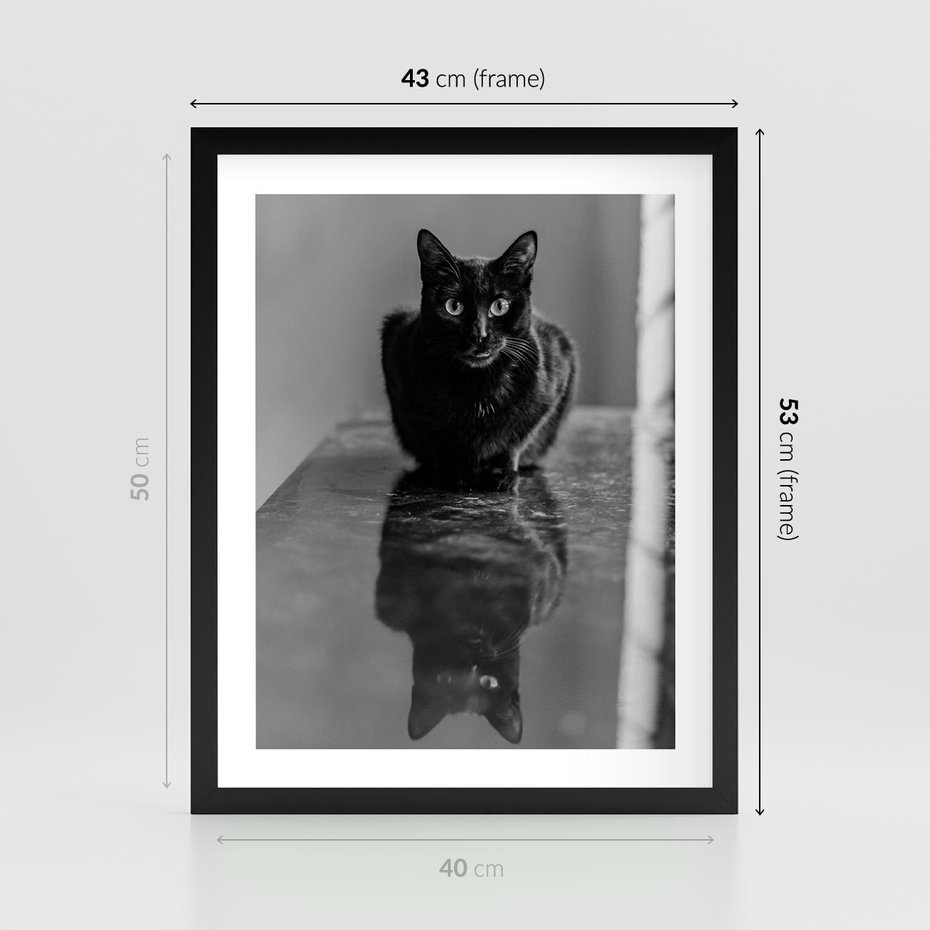 Plakat w ramie 40x50 - Kocie Oczy - kot, czarno białe zdjęcie - rama czarna