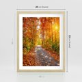 Plakat w ramie 40x50 - Kolorowe drzewa na ścieżce jesieni - las, jesień - rama drewno