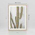 Plakat w ramie 50x70 - Kaktus w Stylu Boho - kaktus, roślina tropikalna - rama drewno