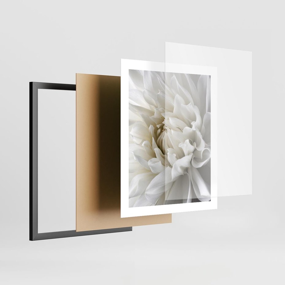 Plakat w ramie 40x50 - Białe Kwiaty Delikatności - białe, kwiaty - rama czarna