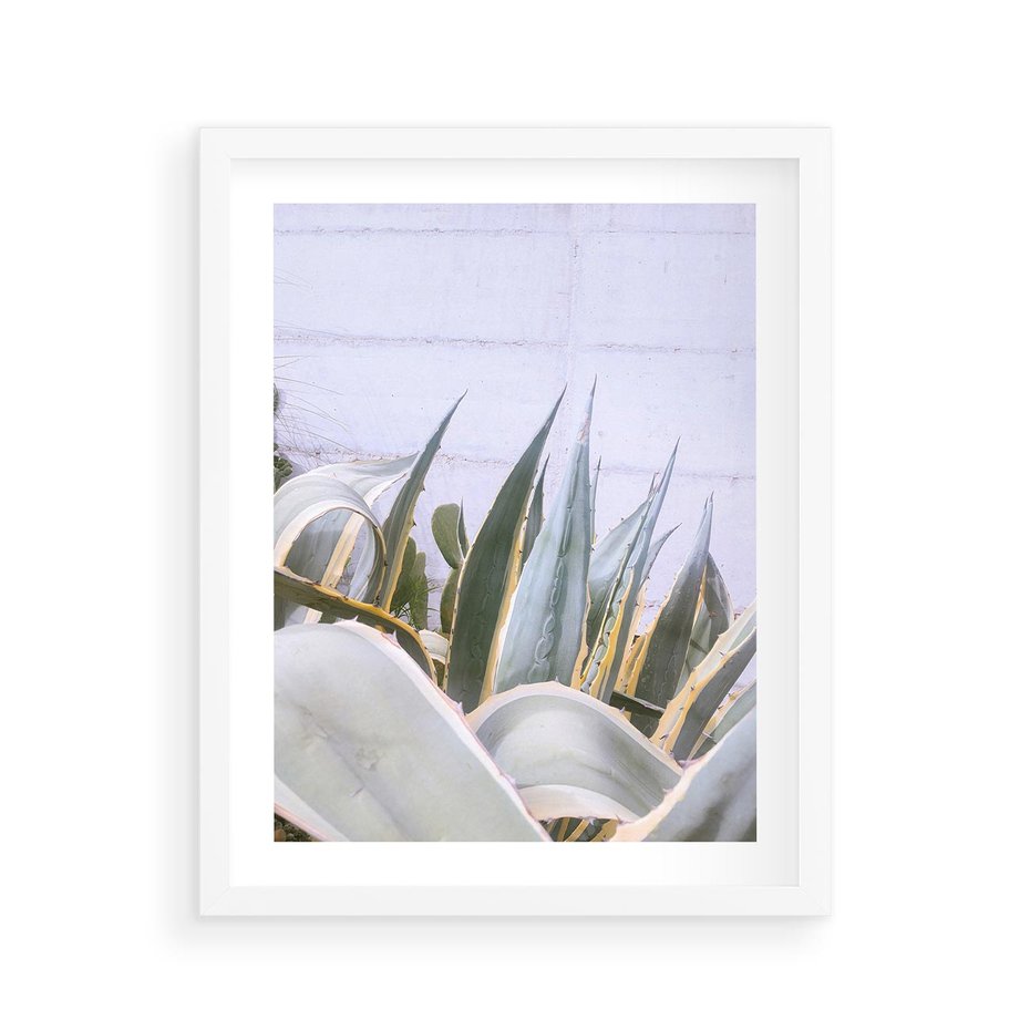 Plakat w ramie 40x50 - Sukulentowe liście - liście, sukulenty - rama biała