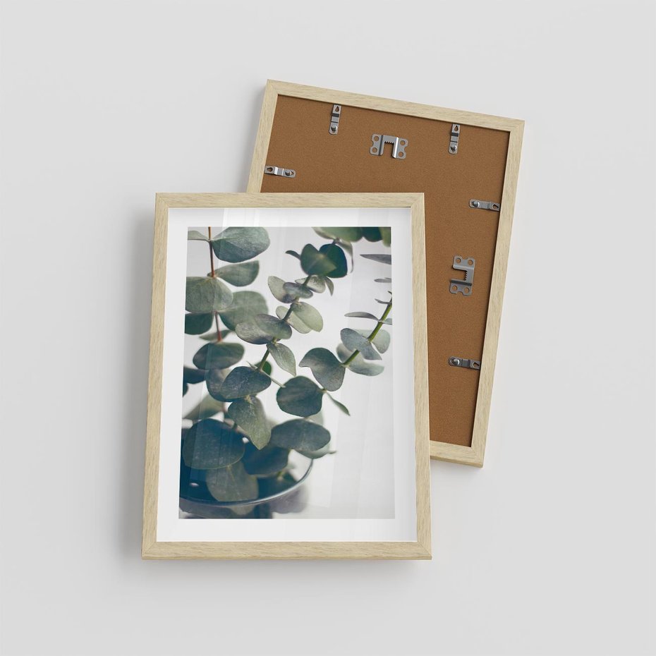 Plakat w ramie 30x40 - ukaliptusowa Harmonia - liście eukaliptusa - rama drewno
