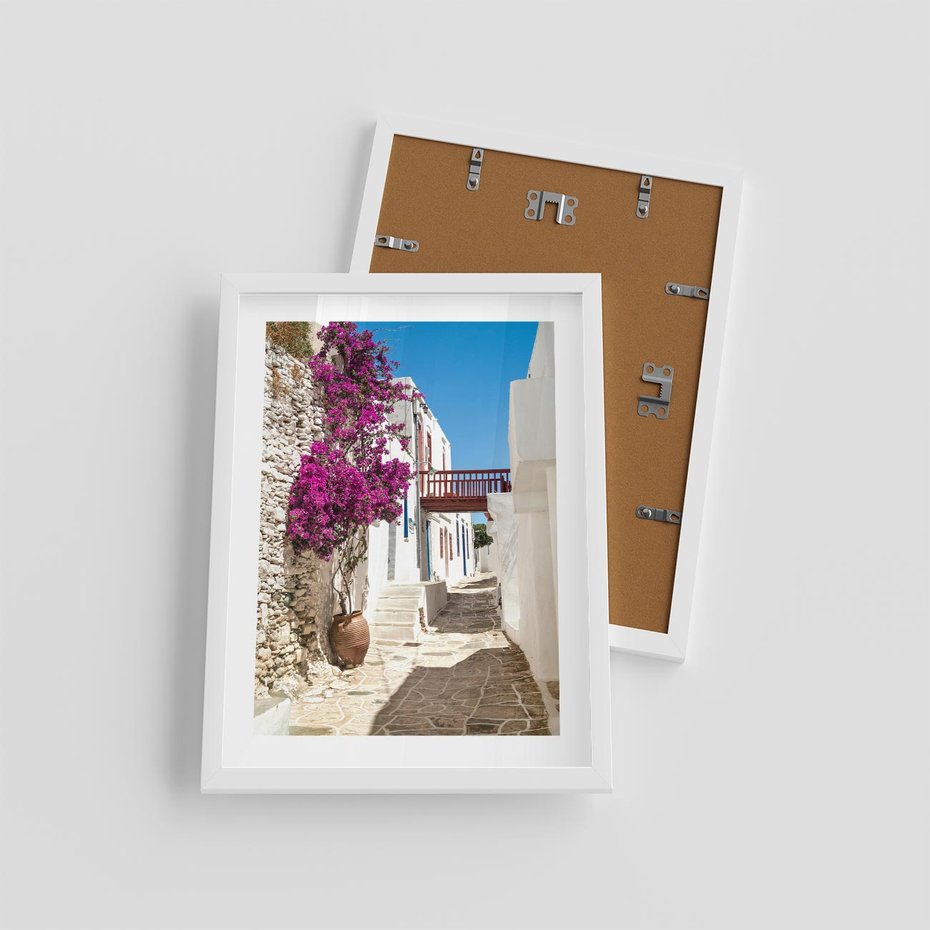 Plakat w ramie 30x40 - Kwiaty Chorwacji - kwiaty, Chorwacja - rama biała