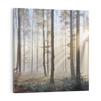 Obraz na płótnie 70x70 - Magiczne zaklęcie: Las pełen drzew - las, drzewa