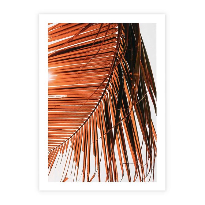 Plakat bez ramy 21x30 - Słońce na Palmie - palma, promienie słońca