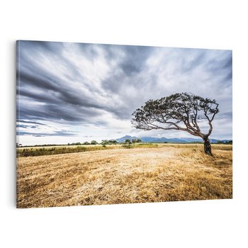 Obraz na płótnie 120x80 - Mistyka afrykańskiej sawanny - sawanna, drzewo