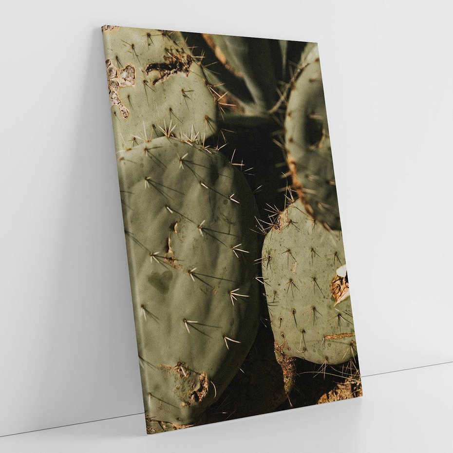 Obraz na płótnie 50x70 - Urok Egzotyki - kaktusy, boho
