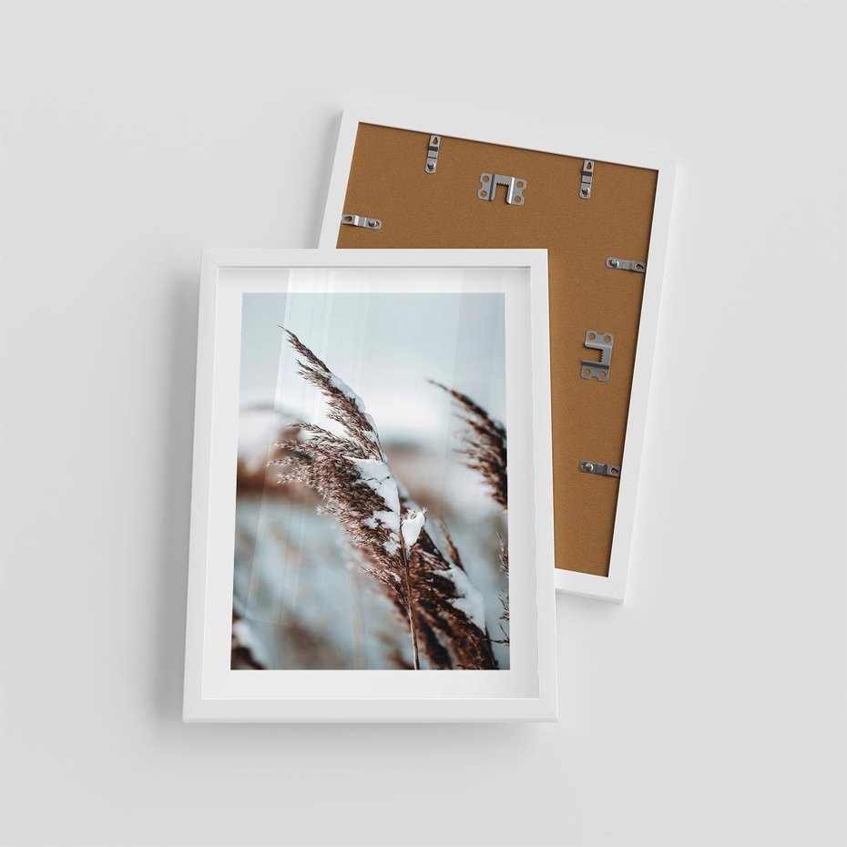 Plakat w ramie 30x40 - Zima na Suchych Trawach - suche trawy, śnieg wysokich na trawach - rama biała
