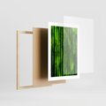 Plakat w ramie 30x40 - Bambusowy urok zielonej harmonii - bambus, zieleń - rama drewno