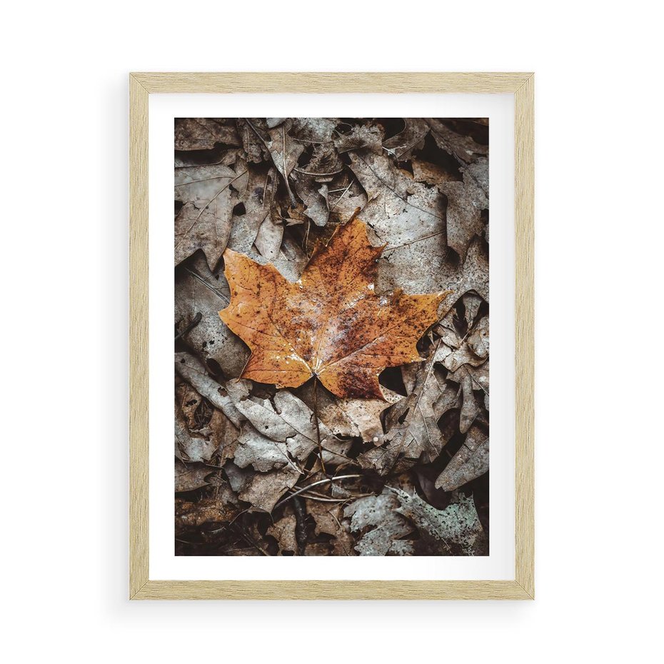 Plakat w ramie 50x70 - Jesienne Czarowanie - suchy liść, żółty - rama drewno