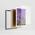 Plakat w ramie 50x70 - Urok lawendy - lawenda, kwiaty - rama czarna