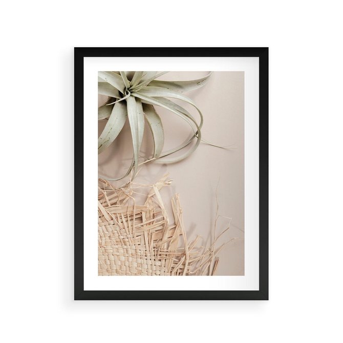 Plakat w ramie 30x40 - Aloes w Stylu Boho - kompozycja, wiklina - rama czarna