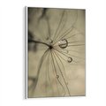 Obraz w ramie 80x120 - Delikatność dmuchawców - dmuchawce, krople - rama biała