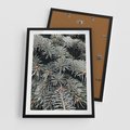 Plakat w ramie 50x70 - Zima na Gałęziach - sosnowe gałęzie, igły - rama czarna