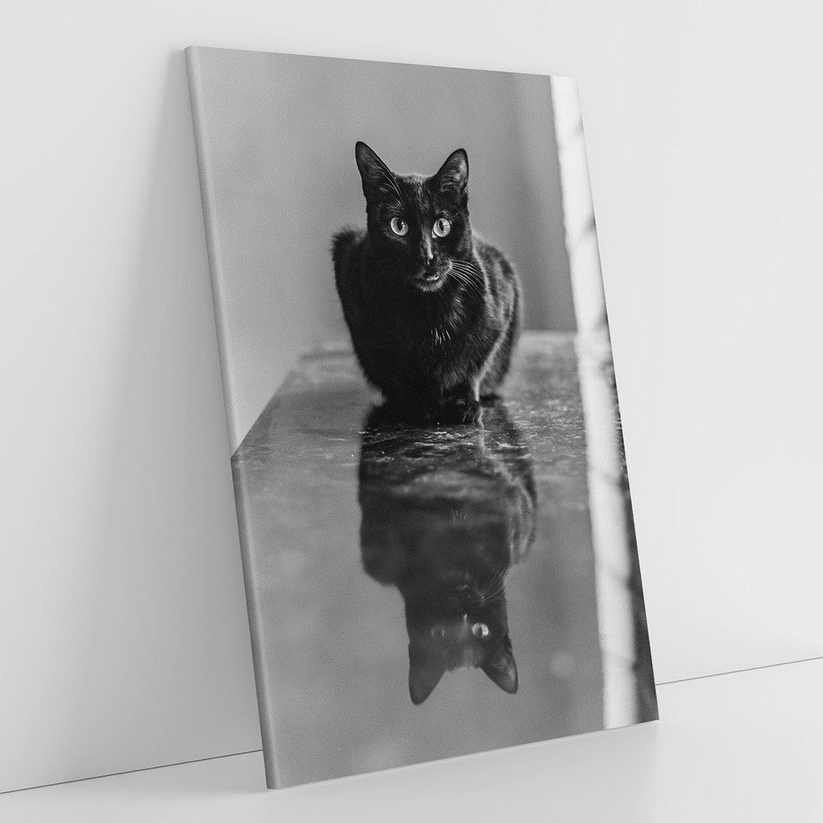 Obraz na płótnie 50x70 - Kocie Oczy - kot, czarno białe zdjęcie