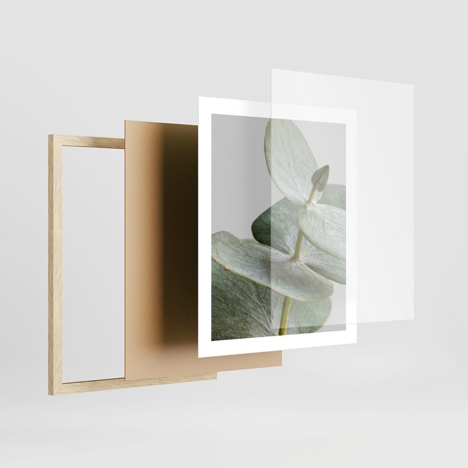 Plakat w ramie 40x50 - Eukaliptusowa zieleń - eukaliptus, zielone - rama drewno
