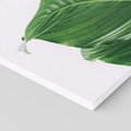 Obraz na płótnie 60x60 - Zielone liście monstery - liście, monstera