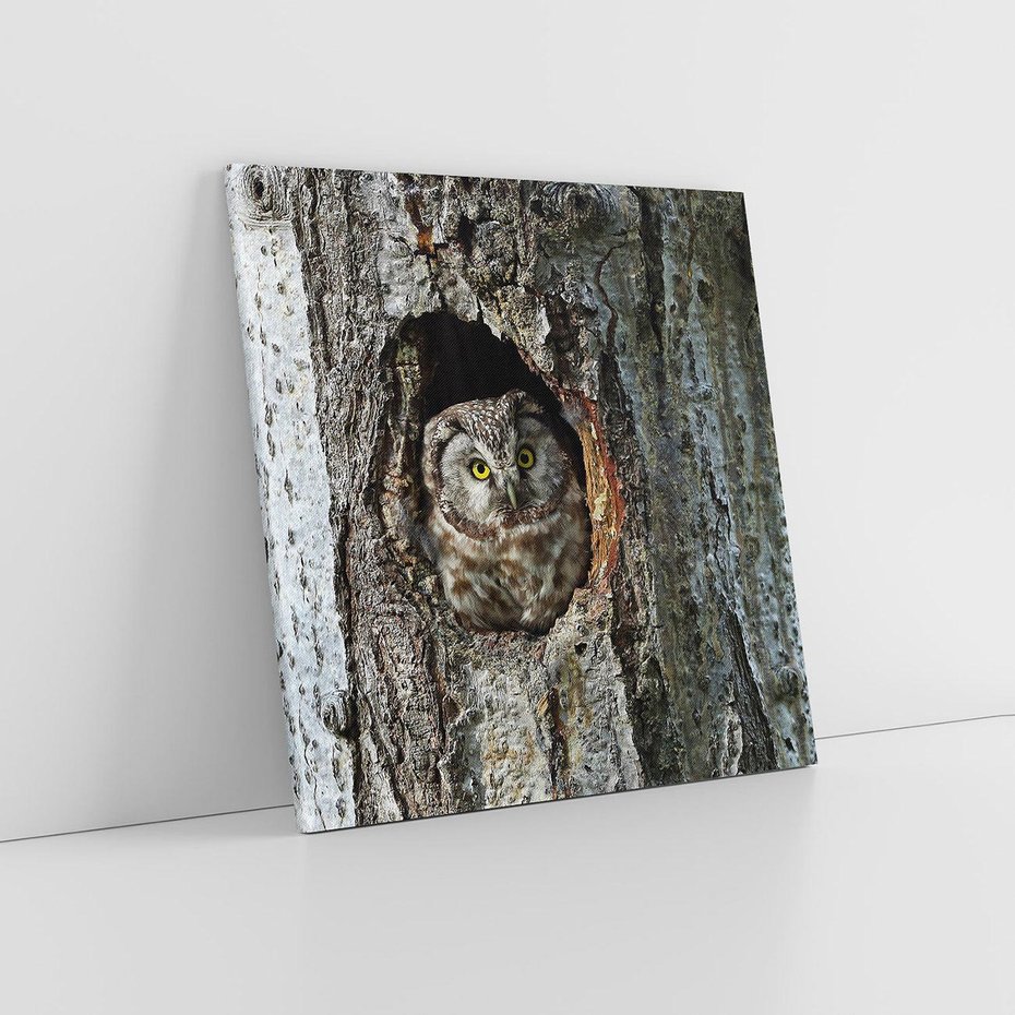 Obraz na płótnie 50x50 - Tajemniczy W świecie Nocy - sowa, dziupla