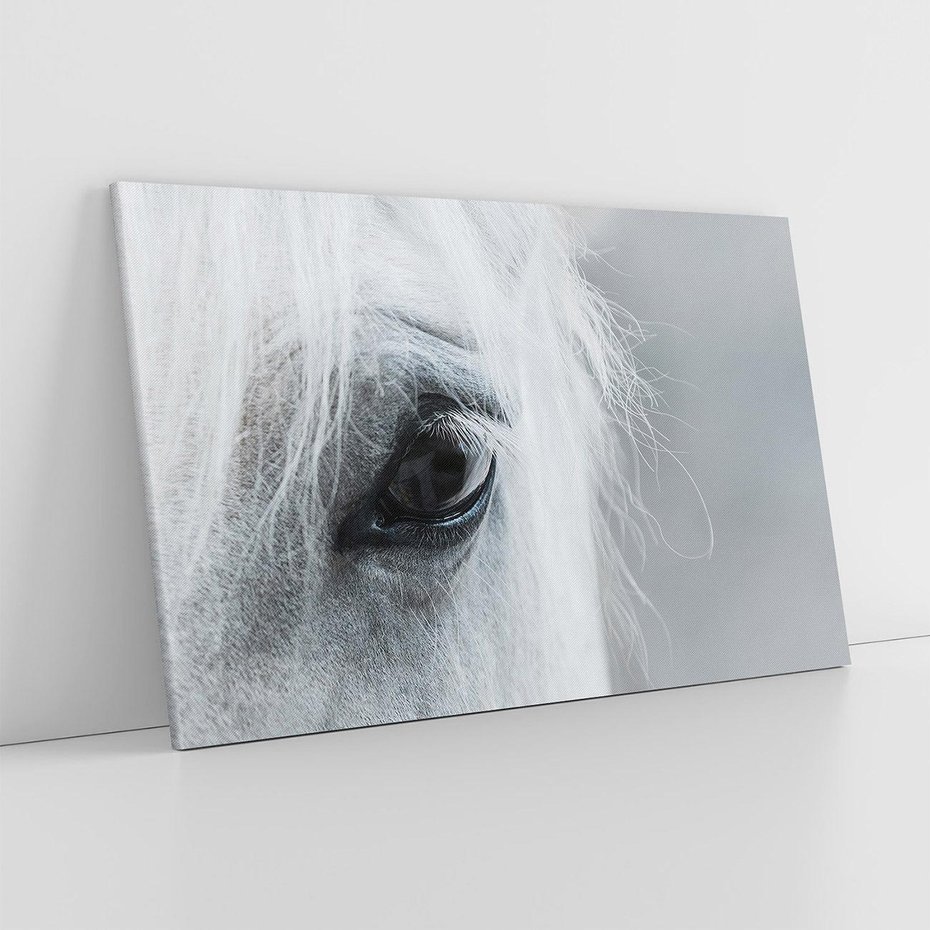 Obraz na płótnie 120x80 - Oko Mocy - czarno białe zdjęcie, zbliżenie makro na oko konia