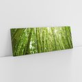 Obraz na płótnie 90x30 - Siła Natury - drzewa, las