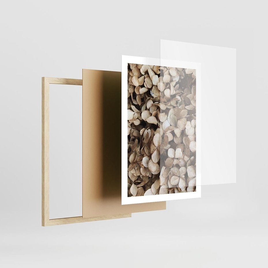 Plakat w ramie 50x70 - Delikatność Hortensji: Kompozycja Kwiatów w Beżu - hortensja, odcienie beżu - rama drewno