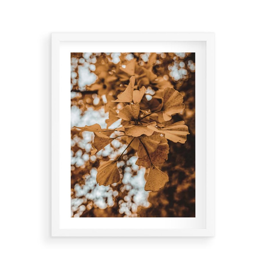 Plakat w ramie 40x50 - Nostalgiczny Miłorząb - miłorząb, liście - rama biała