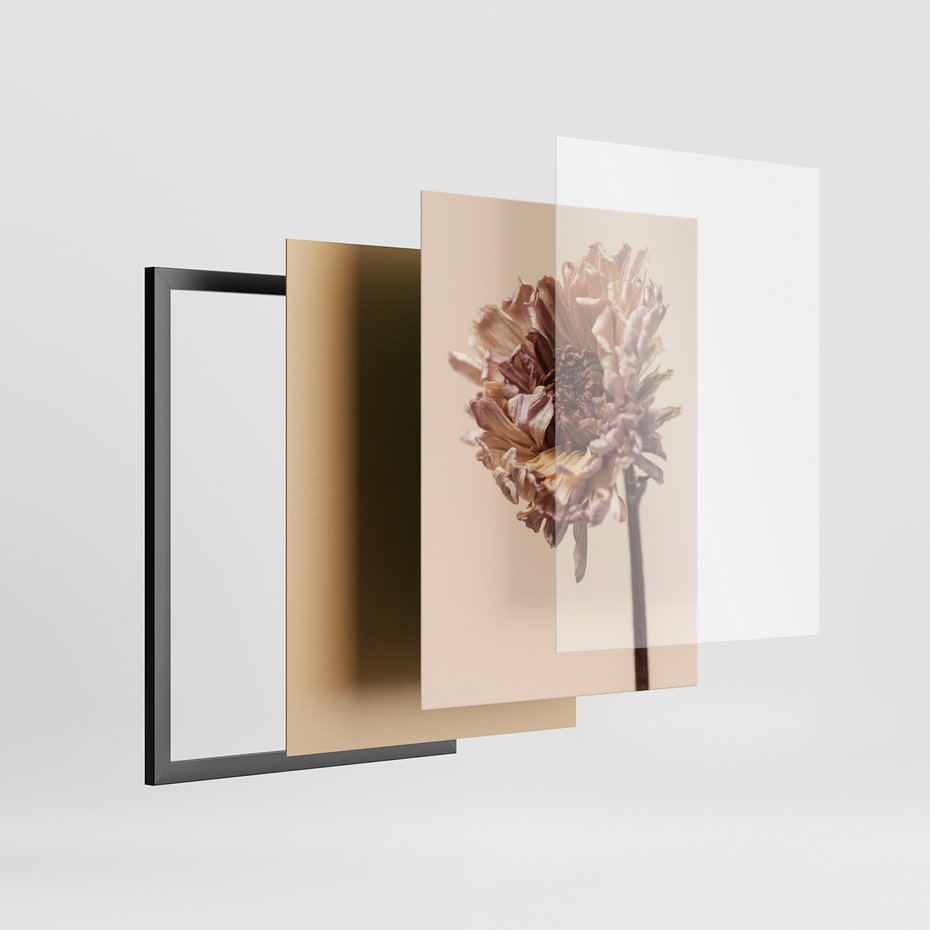 Zestaw obrazy w ramie 30x40 galeria - Minimalistyczne, suszone, kwiaty, boho - rama czarna